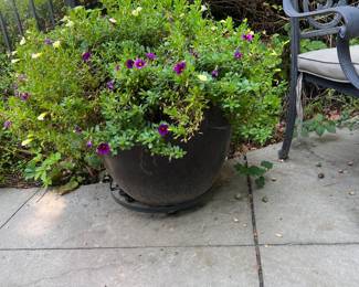 Many lovely 🌸 and planters