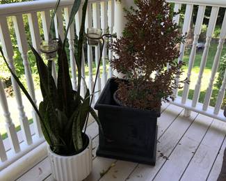 Sum of many Cool Plants