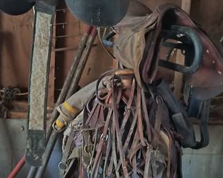 4 saddles and tack 
