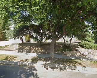 There is a large tree in front of the house, but this is more or less what the sale location looks like.