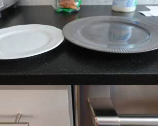 William Sonoma dinner plates and salad plates