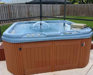 Hot Tub (no cover)