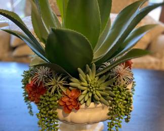 Very large Succulent centerpiece