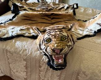 1920 antique fully restored Bengal Tiger pelt with head, inherited through family, 