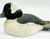 1985 Signed Hand Carved Display Decoy Duck By M.L. Carey Bufflehead Delaware