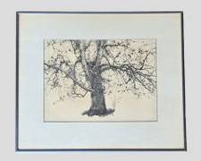 Vintage Andrew Wyeth New Leaves Spring Tree Print framed