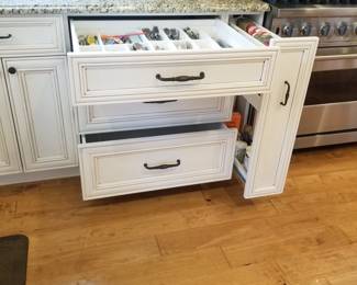 Cabinetry detail - drawers & spice corral
