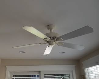 Ceiling fans