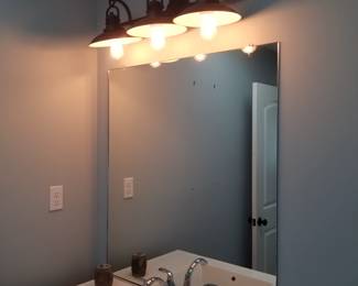 Vanity light; mirror