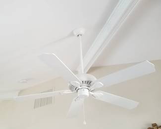 Ceiling fans