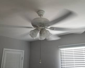 Lighted ceiling fan