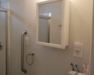 Grab bar; mirrored medicine cabinet