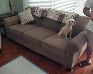 Nice neutral sofa