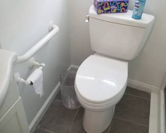Toilet; grab bar