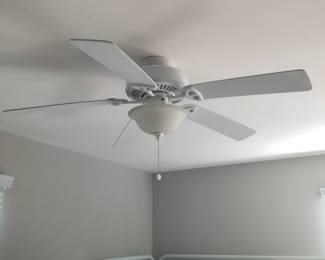Lighted ceiling fan