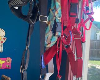 Collars- harnesses on the table too