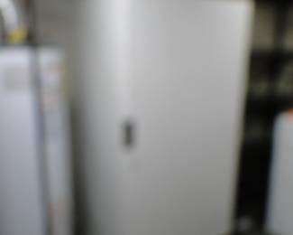 It's a rare picture of a blurry freezer