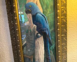 Parrot Pastel-  artist D. Johnson