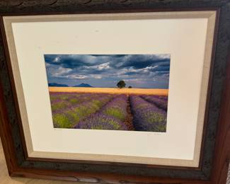 Lavender Field by Jim Nilsen