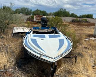 Boat with trailer Mercury engine - Best offer 
