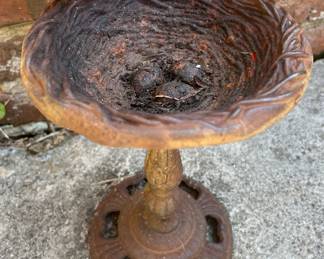 Birdbath