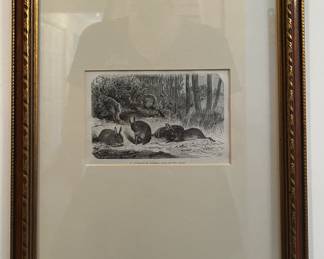Wild Rabbit Artwork
