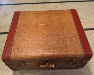 Case for Accordian 