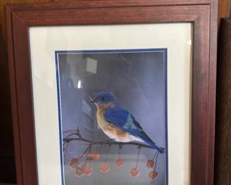 Framed Bird Photo 