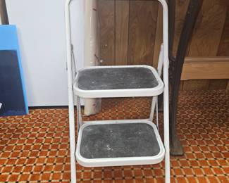Cosco 2 Step Folding Ladder!
