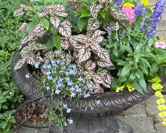 Planter $85            2’ dia x 17” H
