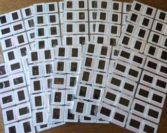 Lot # : 700a - 200 assorted vintage Hollywood Celebrity 35mm
