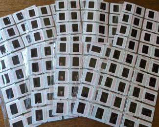 Lot # : 640a - 200 assorted vintage Hollywood Celebrity 35mm
