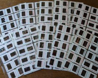 Lot # : 560a - 200 Assorted vintage Hollywood Celebrity 35mm
