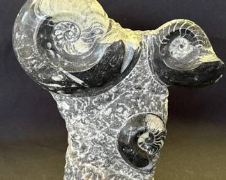 Lot # : 590z - Polished goniatite fossil sculpture
