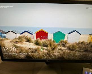 24" LG Monitors - 24ML44B