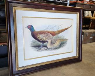 $45
We have about 5 of these all different birds.