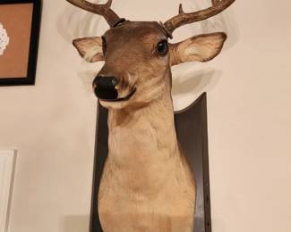 "BUCK" Talks and Sings. Ears and head moves. Comes with Microphone that you can talk into that works with him. Fun piece!