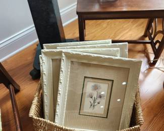 Botanical Framed Prints