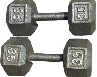 35 lb Hand Weights