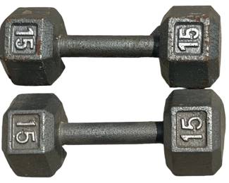 15 Lb Hand Weights