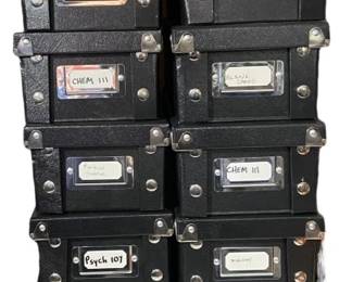 SnapnStore File Boxes