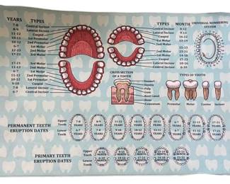 Dentist Mat