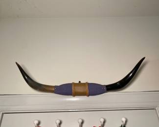 Cow Horns