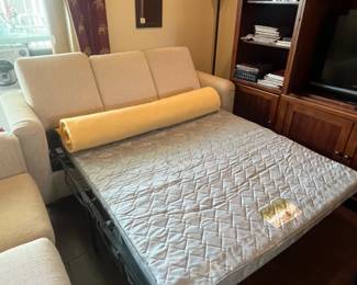 Queen size sofa bed
