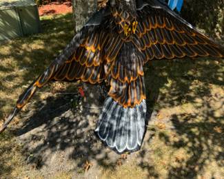 Eagle kite