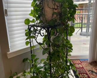 Plants stand, plants