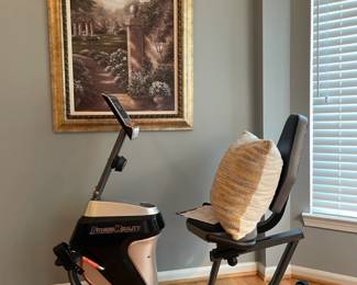 Fitness Reality R4000 bike