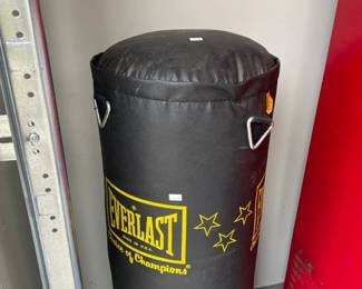 Everlast bag