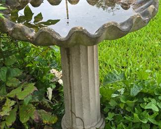 Bird Bath