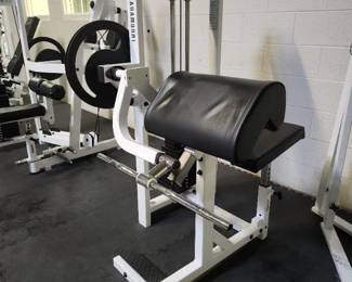 Paramount Biceps Curl Model PL 2300